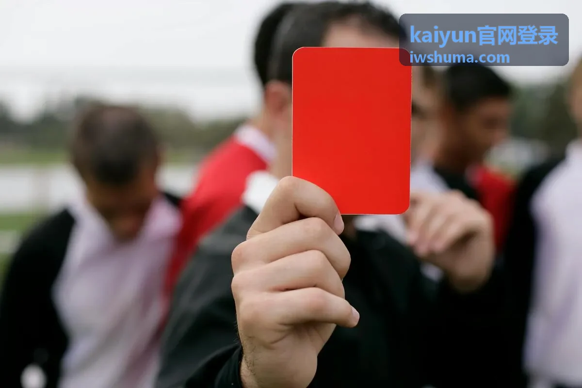 kaiyun官网登录电脑端操作步骤示意